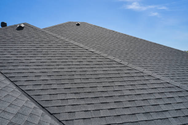 Best Skylight Installation and Repair  in Fairfax, SC